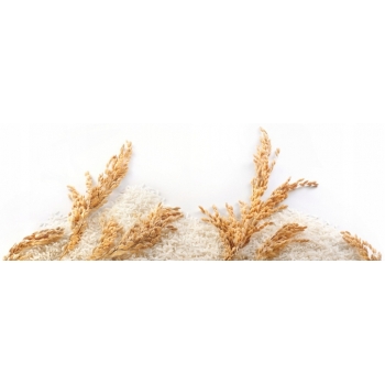 Gallo Riserva włoski ryż ARBORIO 1kg