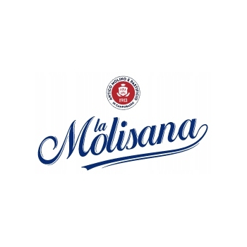 LA MOLISANA włoski makaron Quadrotto No88 - 500g