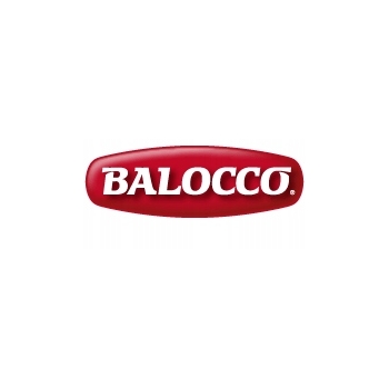 Balocco Gocciolotti włoskie ciasteczka z czekoladą