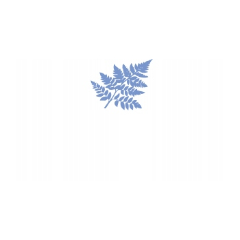 Felce Azzurra odświeżacz powietrza kwiatowy 250ml