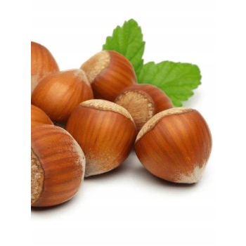 BACCO krem NOCCIOLA z orzechów laskowych 190g