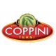 COPPINI włoska oliwa EXTRA VERGINE 1L