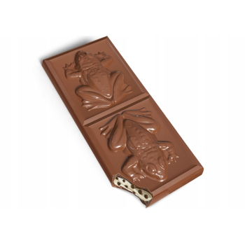 WITOR'S Harry Potter Włoska przekąska z żaby czekoladowej 200g